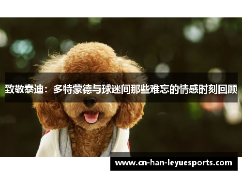 致敬泰迪:多特蒙德与球迷间那些难忘的情感时刻回顾 致敬泰迪:多特蒙德与球迷间那些难忘的情感时刻回顾